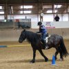 Ponyralley 073